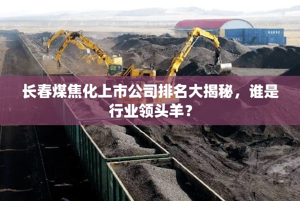 長春煤焦化上市公司排名大揭秘，誰是行業(yè)領頭羊？