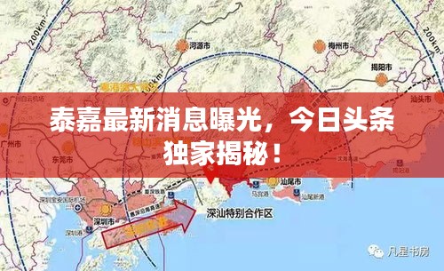 泰嘉最新消息曝光，今日頭條獨家揭秘！