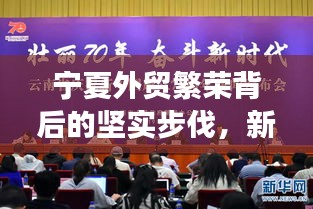 寧夏外貿繁榮背后的堅實步伐，新聞頭條揭示繁榮景象