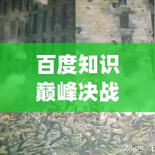 百度知識巔峰決戰，探索未知領域，盡展智慧風采