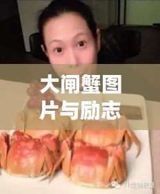 大閘蟹圖片與勵(lì)志語錄，喚醒美好一天的活力源泉