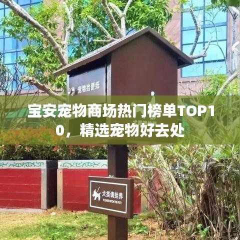 逆風飛揚 第2頁