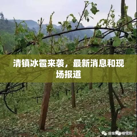 清鎮冰雹來襲，最新消息和現場報道