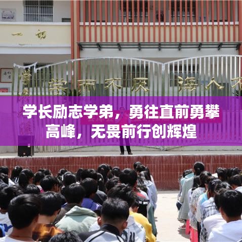 學長勵志學弟，勇往直前勇攀高峰，無畏前行創輝煌