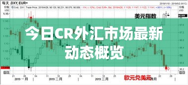 今日CR外匯市場最新動態概覽