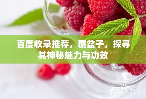 百度收錄推薦，覆盆子，探尋其神秘魅力與功效