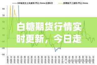 白糖期貨行情實時更新，今日走勢分析與市場洞察