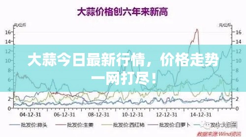 大蒜今日最新行情，價(jià)格走勢(shì)一網(wǎng)打盡！