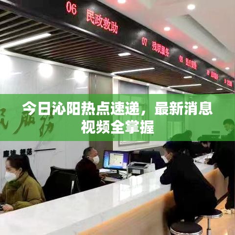 今日沁陽熱點速遞，最新消息視頻全掌握