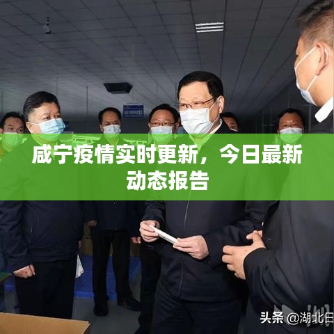 咸寧疫情實(shí)時更新，今日最新動態(tài)報(bào)告