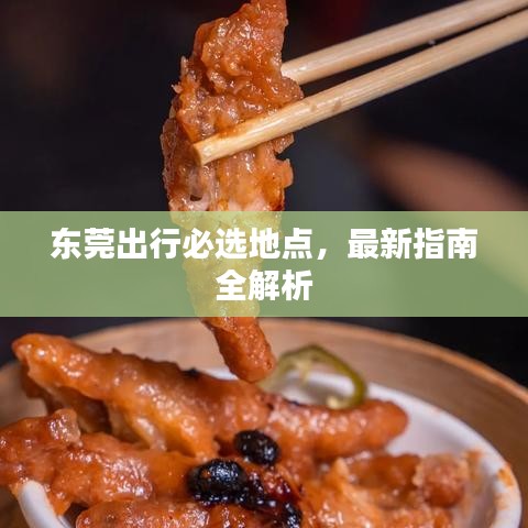 東莞出行必選地點，最新指南全解析
