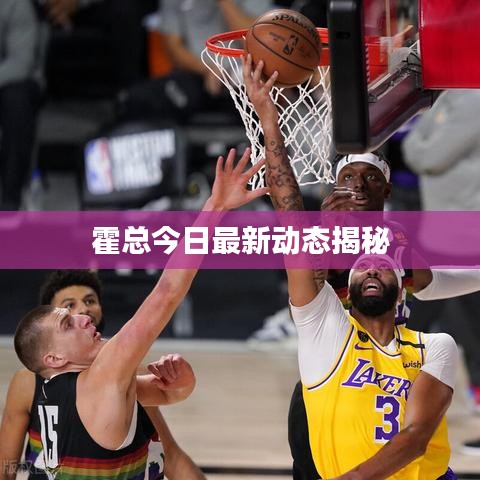 霍總今日最新動態(tài)揭秘
