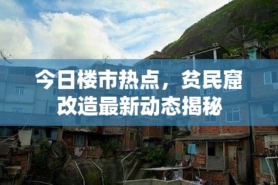 今日樓市熱點，貧民窟改造最新動態揭秘