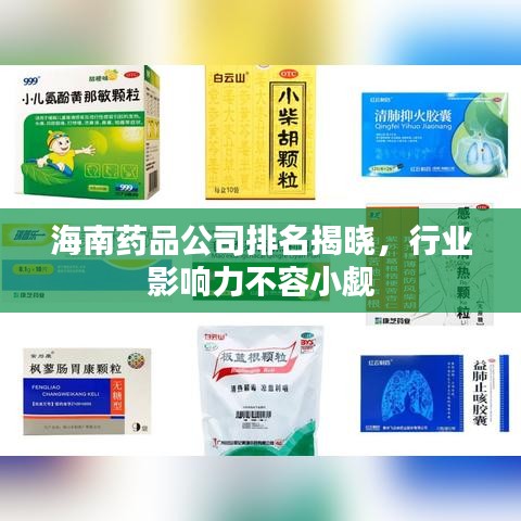 海南藥品公司排名揭曉，行業影響力不容小覷