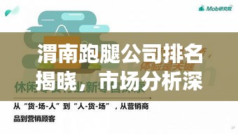 渭南跑腿公司排名揭曉，市場分析深度解讀！