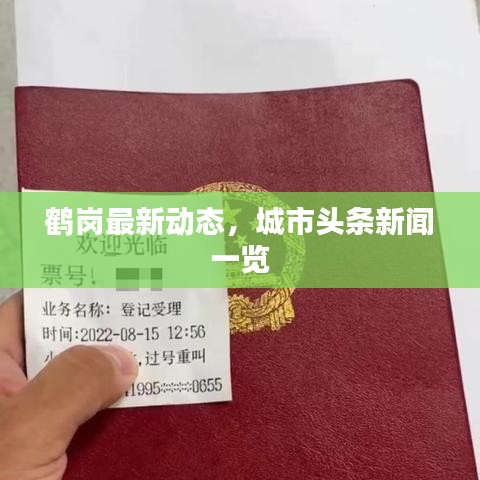 鶴崗最新動態，城市頭條新聞一覽