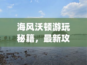 海風沃頓游玩秘籍，最新攻略大全