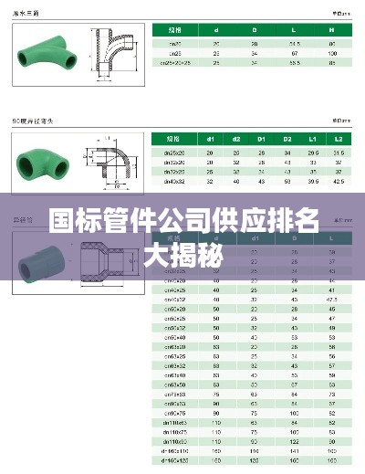 國標(biāo)管件公司供應(yīng)排名大揭秘
