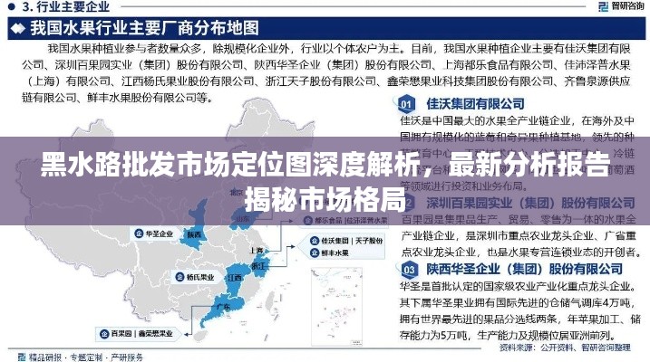 黑水路批發市場定位圖深度解析，最新分析報告揭秘市場格局