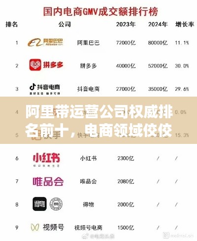 阿里帶運營公司權(quán)威排名前十，電商領(lǐng)域佼佼者榜單揭秘！