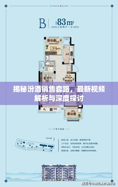 揭秘汾酒銷售套路，最新視頻解析與深度探討