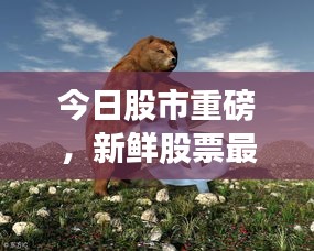 今日股市重磅，新鮮股票最新動態一網打盡