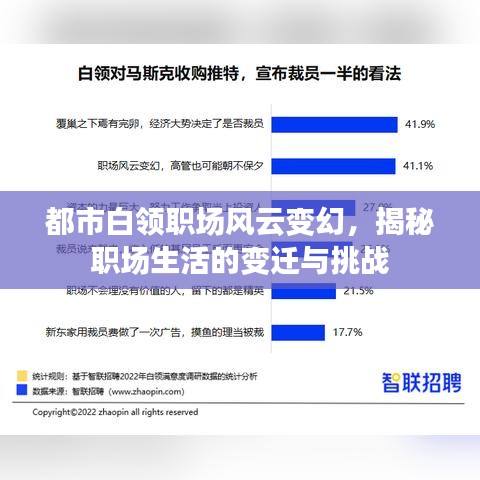 都市白領(lǐng)職場風(fēng)云變幻，揭秘職場生活的變遷與挑戰(zhàn)