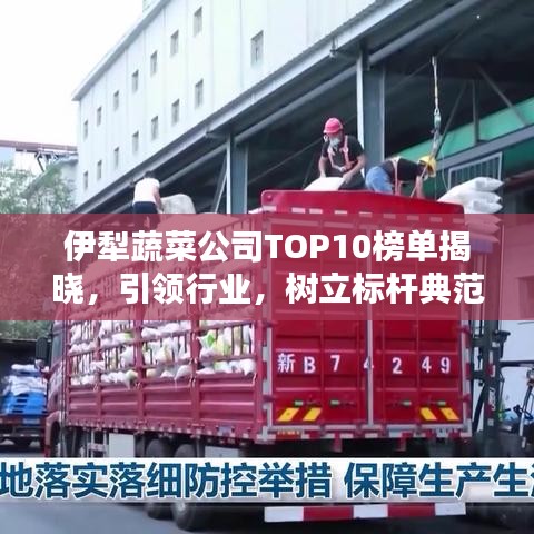 伊犁蔬菜公司TOP10榜單揭曉，引領(lǐng)行業(yè)，樹立標(biāo)桿典范