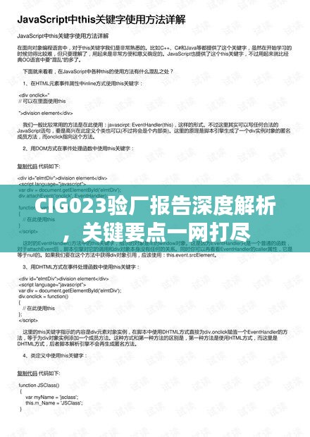 CIG023驗廠報告深度解析，關鍵要點一網打盡