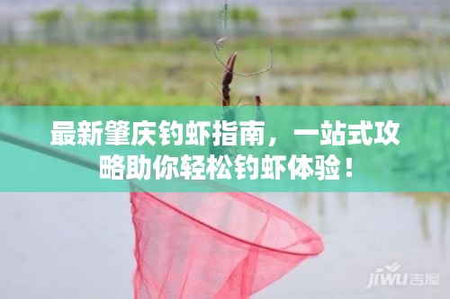最新肇慶釣蝦指南，一站式攻略助你輕松釣蝦體驗！