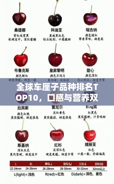 全球車?yán)遄悠贩N排名TOP10，口感與營(yíng)養(yǎng)雙絕，吃貨必備指南！
