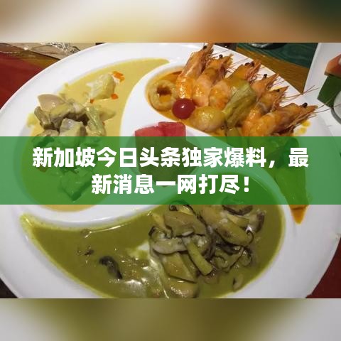 新加坡今日頭條獨家爆料，最新消息一網打盡！