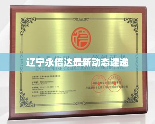 遼寧永倍達最新動態速遞