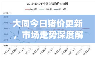 大同今日豬價更新，市場走勢深度解析與影響因素探討