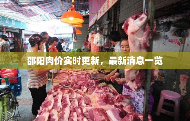 邵陽(yáng)肉價(jià)實(shí)時(shí)更新，最新消息一覽