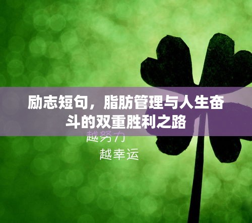 勵志短句，脂肪管理與人生奮斗的雙重勝利之路