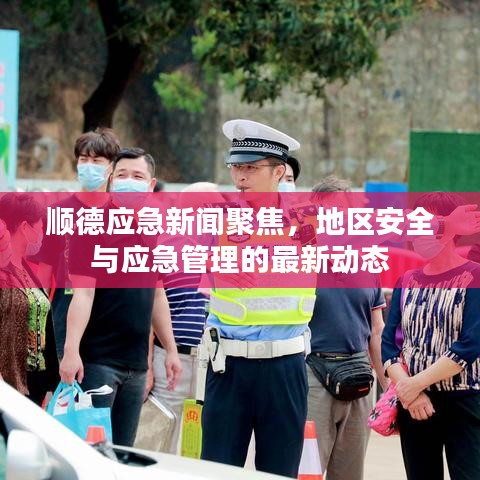順德應急新聞聚焦，地區安全與應急管理的最新動態
