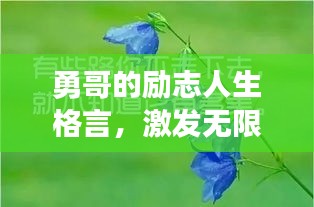 勇哥的勵志人生格言，激發無限潛能！