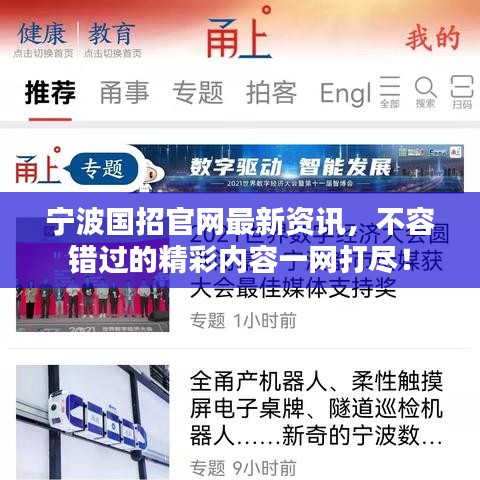 寧波國招官網最新資訊，不容錯過的精彩內容一網打盡！