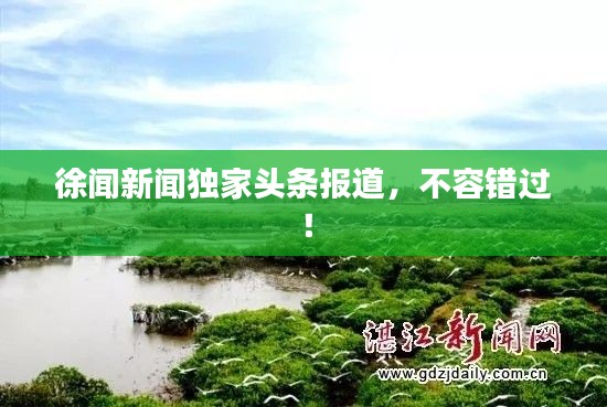 徐聞新聞獨家頭條報道，不容錯過！