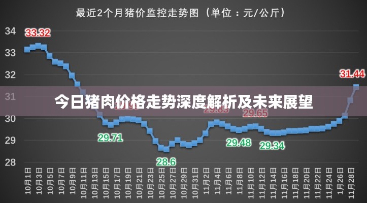 今日豬肉價格走勢深度解析及未來展望