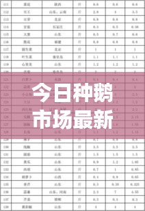 今日種鵝市場最新報(bào)價(jià)動(dòng)態(tài)