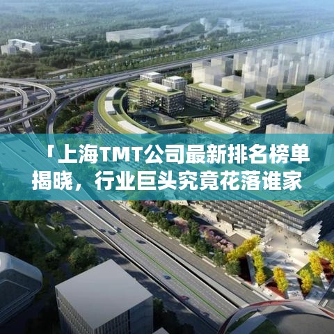 「上海TMT公司最新排名榜單揭曉，行業巨頭究竟花落誰家？」