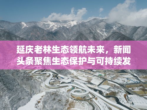 延慶老林生態領航未來，新聞頭條聚焦生態保護與可持續發展