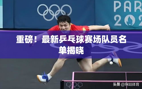 重磅！最新乒乓球賽場隊員名單揭曉