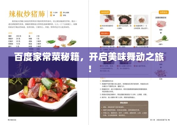 百度家常菜秘籍，開啟美味舞動之旅！
