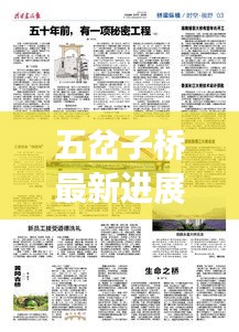 五岔子橋最新進展與未來規劃揭秘，新聞頭條重磅更新