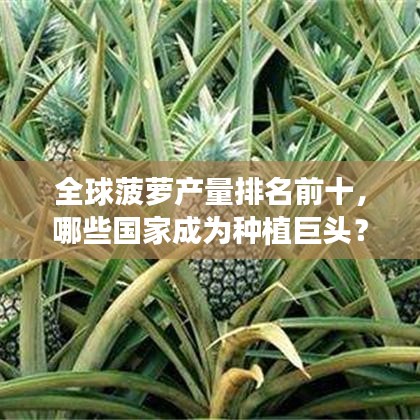 兢兢業(yè)業(yè) 第2頁
