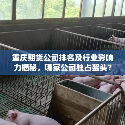 重慶期貨公司排名及行業(yè)影響力揭秘，哪家公司獨占鰲頭？