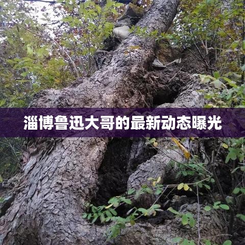 淄博魯迅大哥的最新動態曝光
